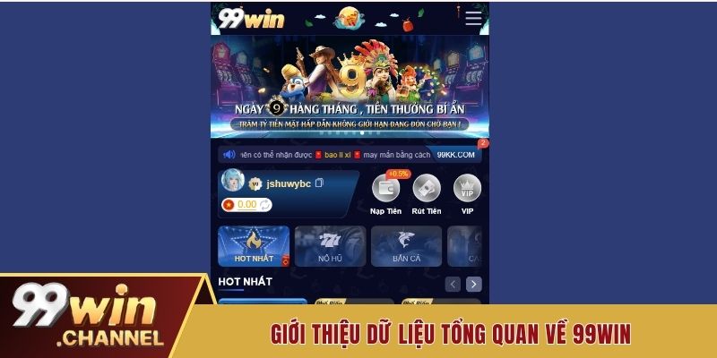 Giới thiệu dữ liệu tổng quan về 99win