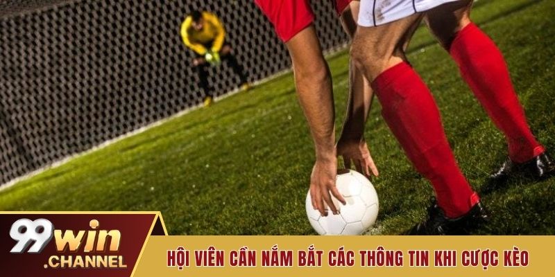 Hội viên cần nắm bắt các thông tin khi cược kèo phạt đền 